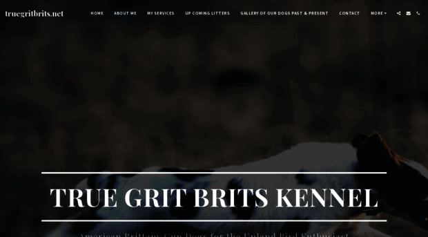 truegritbrits.com