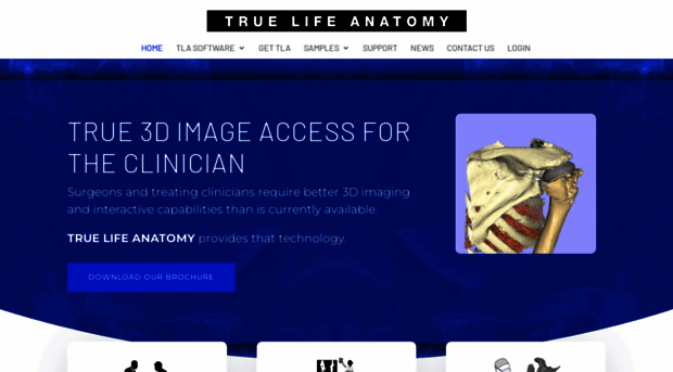 truelifeanatomy.com