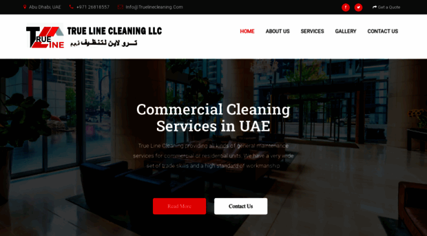 truelinecleaning.com