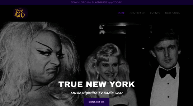 truenewyork.net