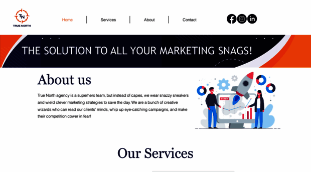 truenorthagency.co.in