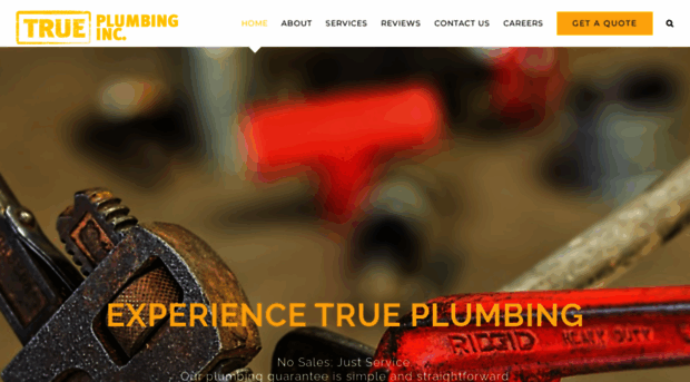 trueplumbinginc.com