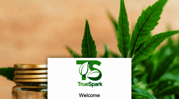 truespark.com