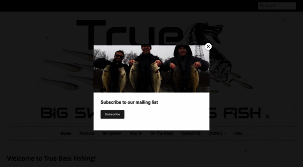 trueswimbaits.com