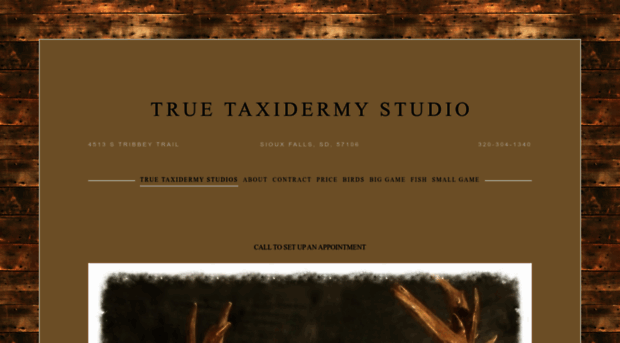 truetaxidermystudio.com