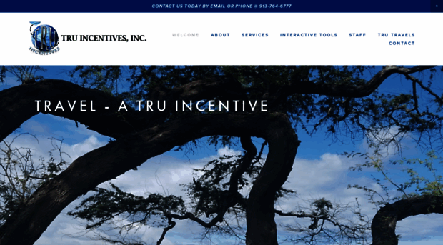 truincentives.com