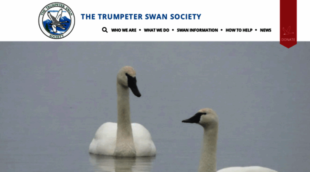 trumpeterswansociety.org