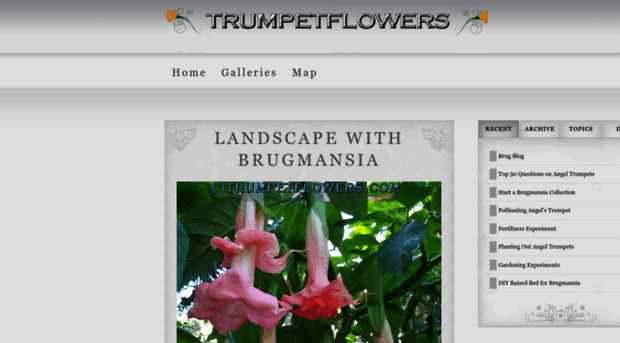 trumpetflowers.com