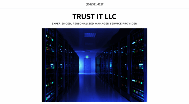 trustusit.com