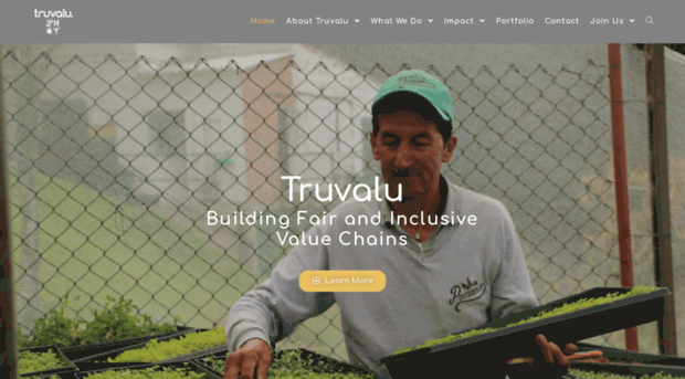 truvalu-group.com