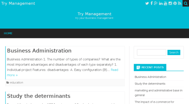 try-management.com