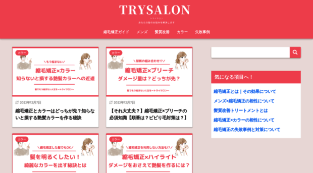 try-salon.jp