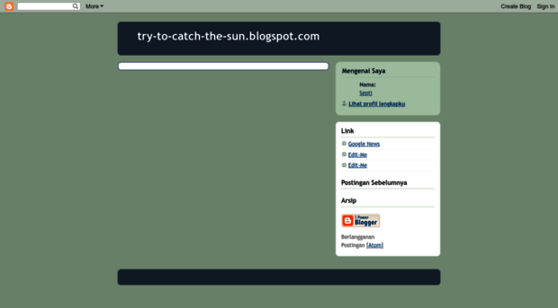 try-to-catch-the-sun.blogspot.com