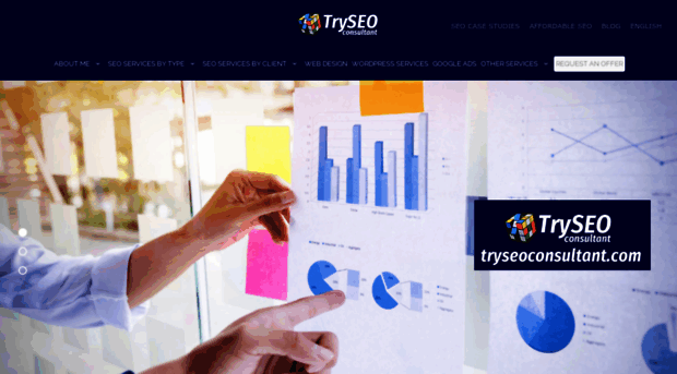 tryseoconsultant.com