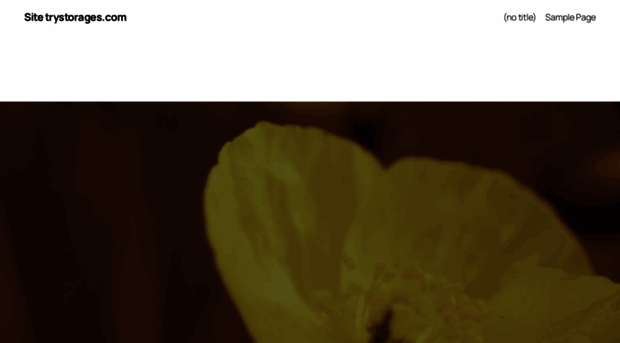trystorages.com