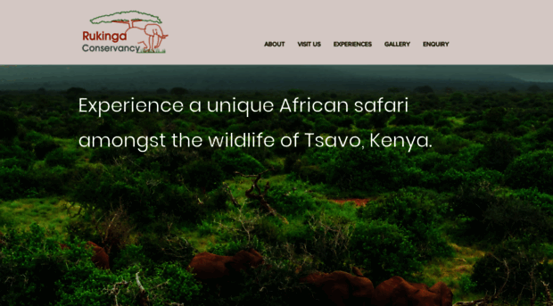 tsavoconservancy.com