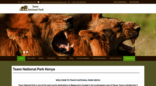 tsavonationalparkkenya.com