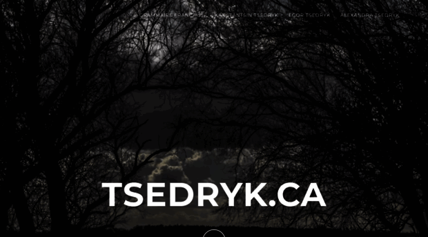 tsedryk.ca