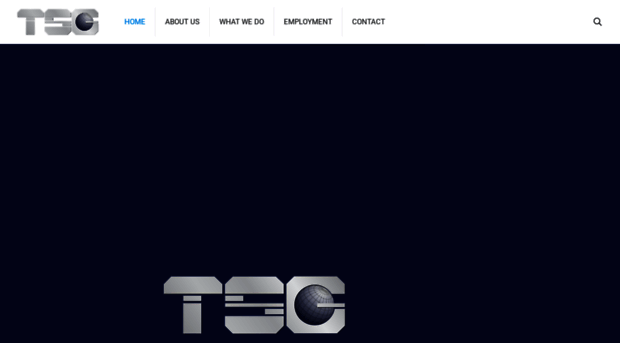 tsg-globalholdings.com