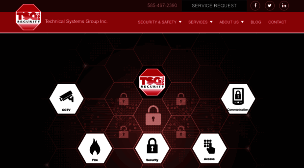 tsgsecurity.com