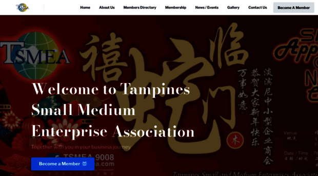 tsmea.com