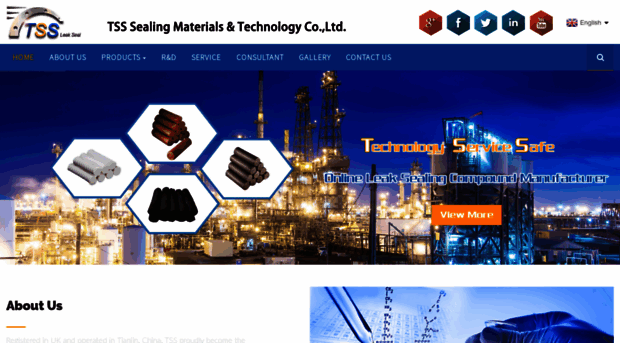 tssleaksealing.com