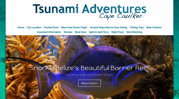 tsunamiadventures.com