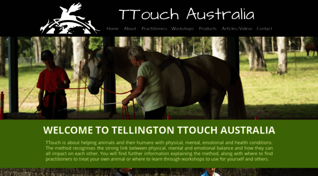 ttouchaustralia.com.au