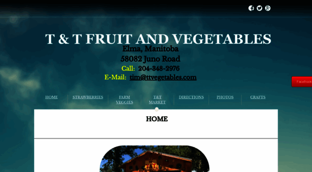 ttvegetables.com