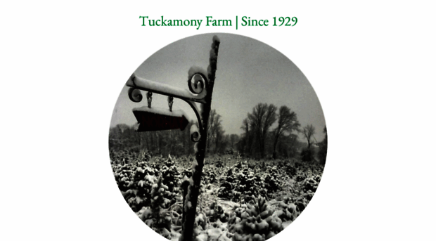 tuckamony.com