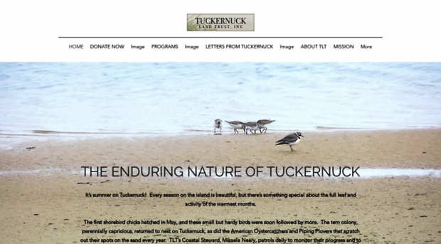 tuckernucklandtrust.org