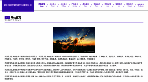 tudool.com
