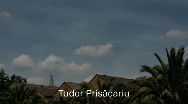 tudorprisacariu.com