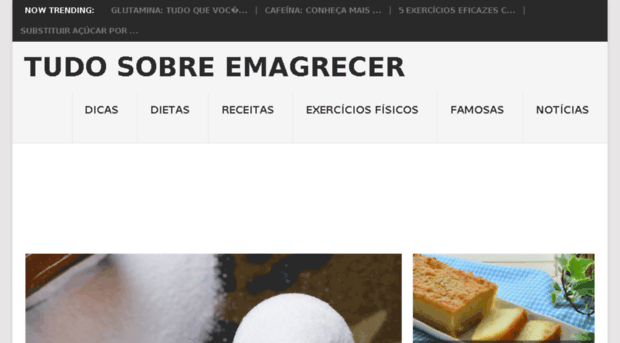 tudosobreemagrecer.com.br