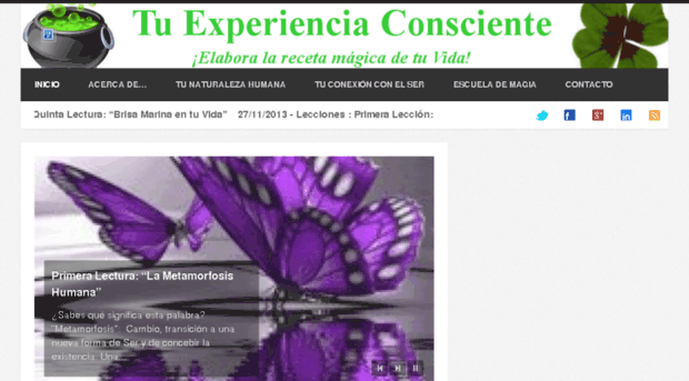 tuexperienciaconsciente.com