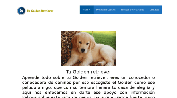 tugoldenretriever.com