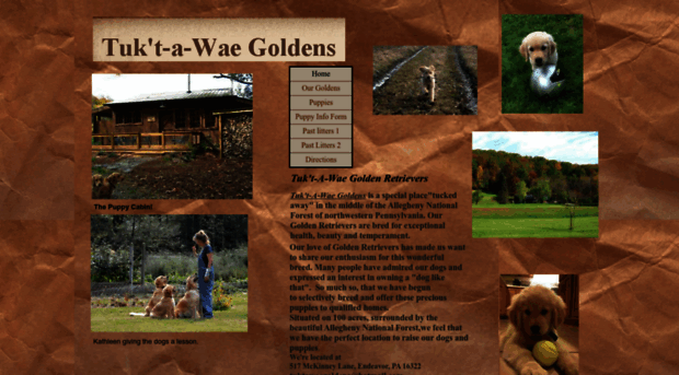 tuktawaegoldens.com