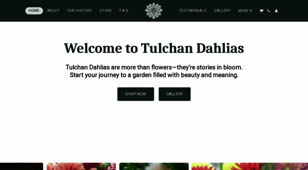 tulchandahlias.com