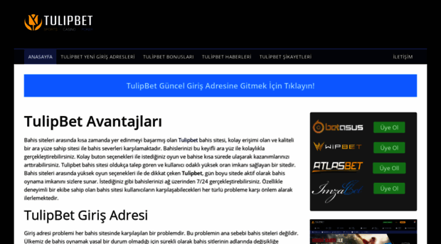 tulipbetguncel.com