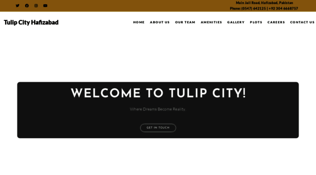 tulipcity.com.pk