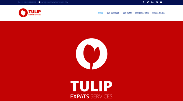 tulipexpatsservices.com