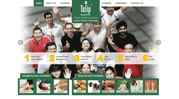 tulipindia.com