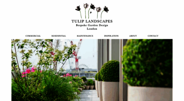 tuliplandscapes.co.uk