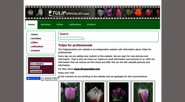 tulipspecialist.com