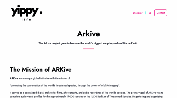 tumblr.arkive.org