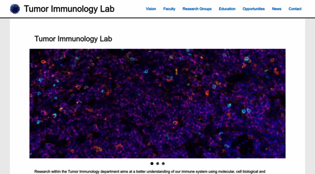 tumor-immunology.com