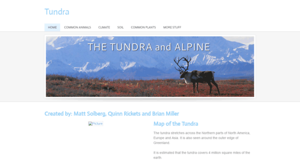 tundralpine.weebly.com