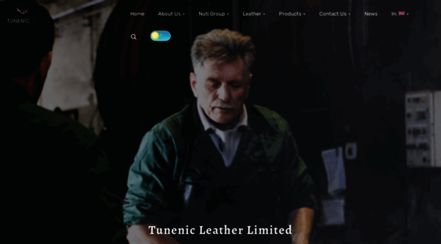 tunenic.com