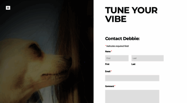 tuneyourvibe.com