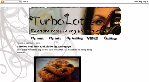 turbolotte.blogspot.com